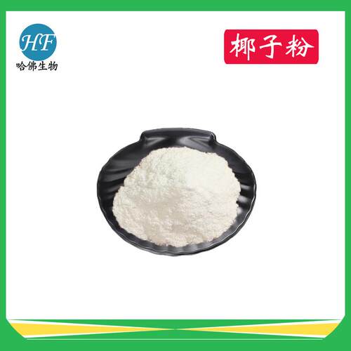 椰子粉 速溶椰子汁粉 厂家现货供应 椰子粉