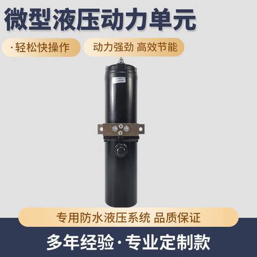 制定直流微型液压站自卸车微型液压站自卸车微型液压动力单元