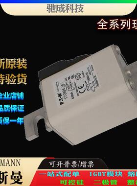 巴斯曼170M4246 170M4247 170M4258 大量现货厂价销售 伊顿熔断器