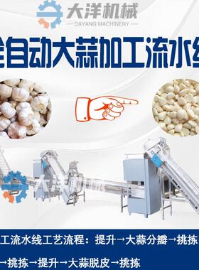 大蒜加工流水线商用蒜米前处理设备蒜球加工机器灭菌蒜米生产线