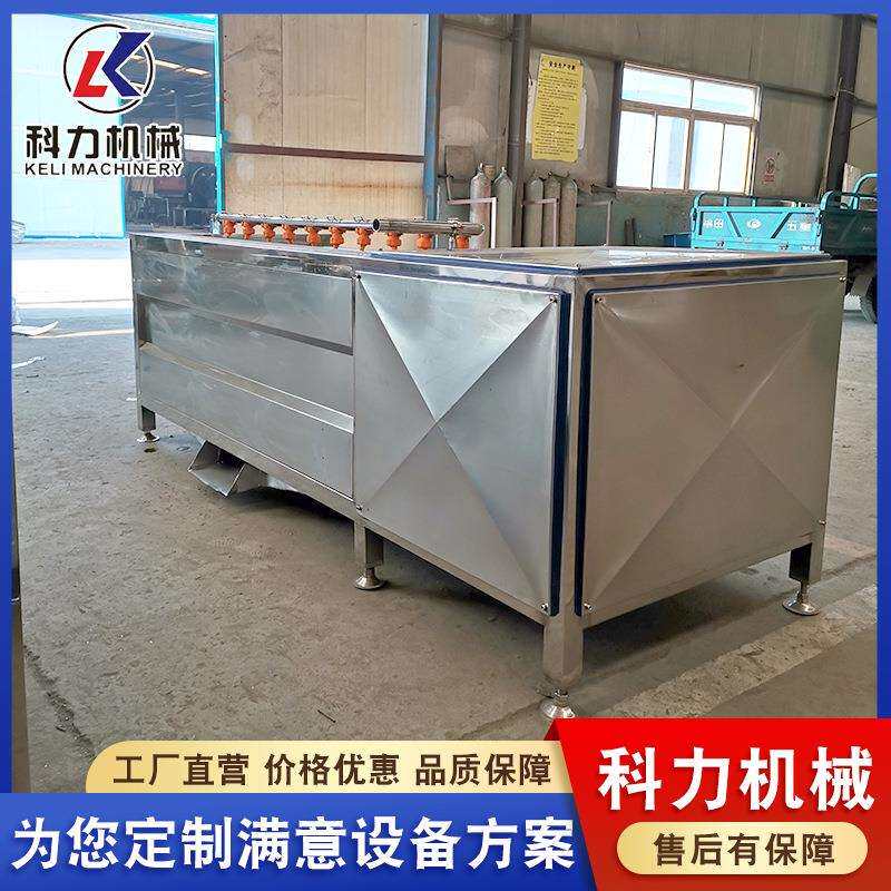 萝卜清洗机 土豆地瓜去皮机 果蔬清洗设备 毛辊刷快速清洗