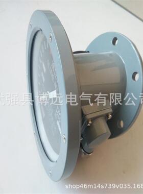 变压器针油位计YZF2-90指YYZF2-90ZF2-140YZF220-0YZF22-50指针式