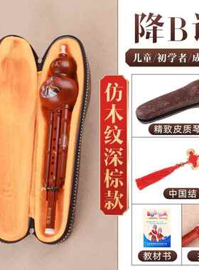 正品奇美葫芦b丝c调降/bB调小学生校成人初学者演奏乐器芦直学销
