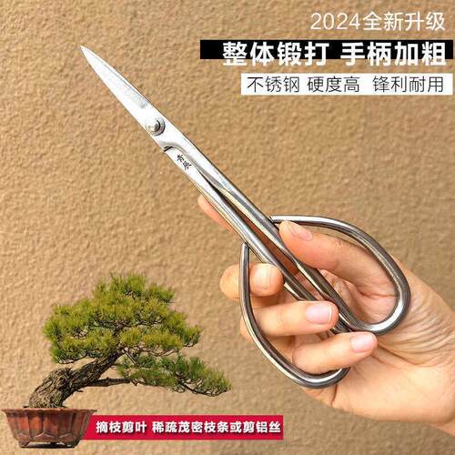 青辰叶芽剪盆景造型制作小枝剪不锈钢剪刀插花艺枝切园艺多功能剪