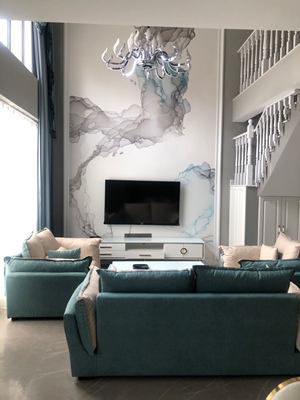 良心评测TCL65Q2M和长虹65A4U哪个好用点？区别有吗？