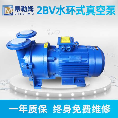 2BV水环式真空泵2BV5161微型真空泵厂家供应铸铁材质真空水泵