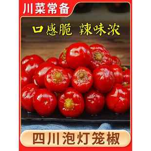 四川泡椒灯笼椒商用青泡辣椒圆椒眉山泡菜特产红灯笼泡酸海椒商用