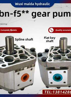 齿轮泵CBN-F532 CBN-F563 CBN-F525 CBN-F580 CBN-F550液压油泵