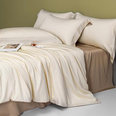 A1支00莱赛尔兰精丝四件套简约床单被套全棉床20201笠床类上用品