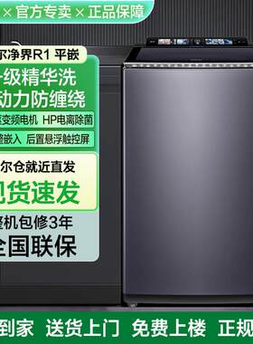 海.尔净界10kg波轮洗衣机后置屏精华洗双动力平嵌家用变频BZ566TH