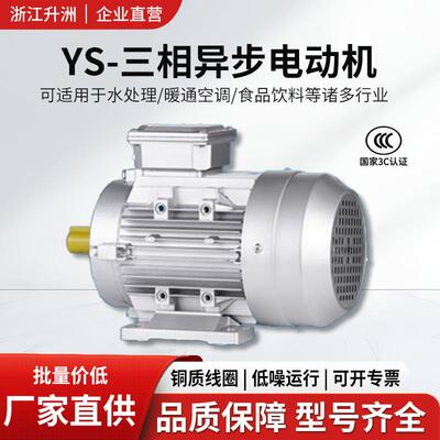 企业直营全铜铝壳电机三相交流冶金水泵矿用三相异步380v高效电机
