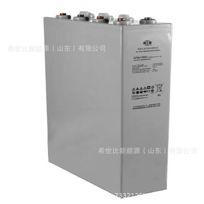 双登蓄电池20OPZV2500管式胶体2V2500AH寿命长深循环性能参数储能