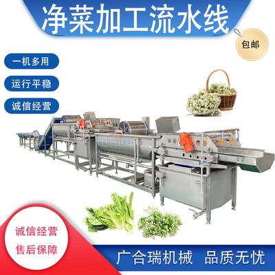 商用涡流净菜加工流水线 中房预制菜清洗流水线 果蔬清洗机