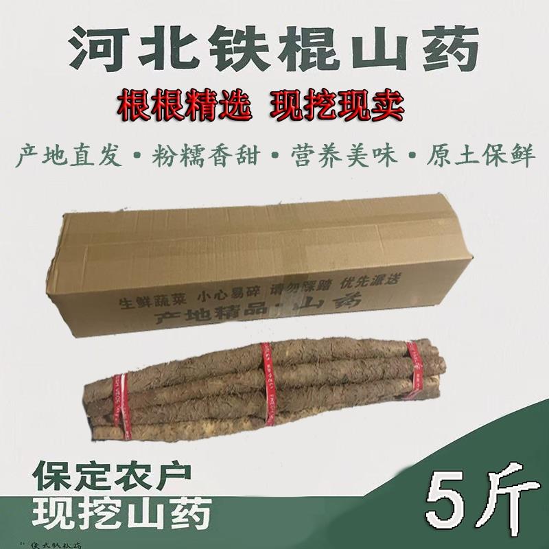 蠡县特产小白嘴山药5斤新鲜河北铁棍山药垆土怀山药白辅食