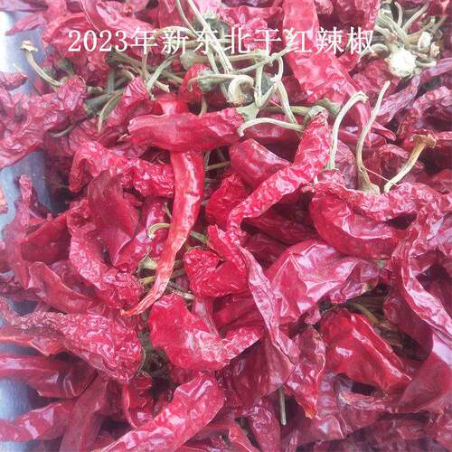 东北干红辣椒 农家自晒红辣椒干小园干红辣椒又香又辣 500g包邮