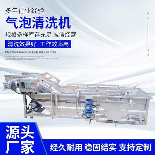 全自动果蔬气泡清洗机洋葱生姜清洗机震动旋流果蔬气泡清洗机