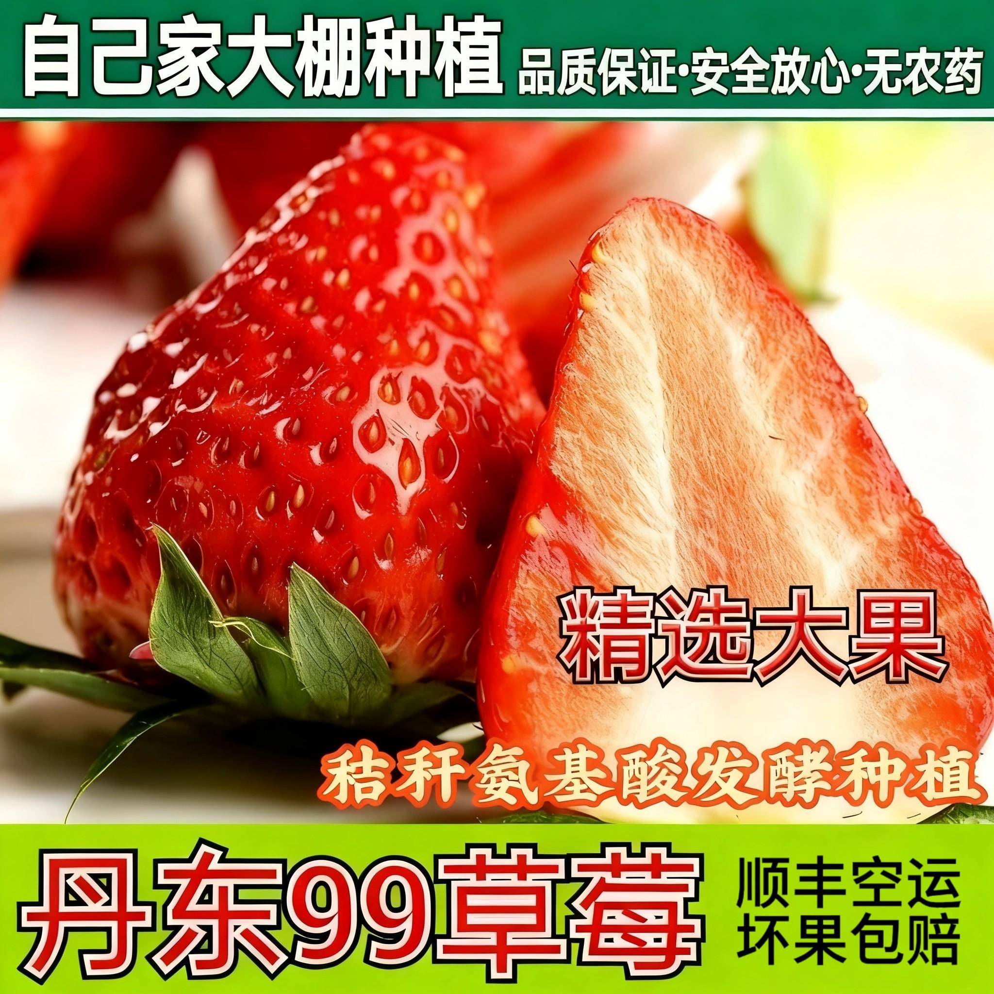 丹东99草莓新鲜红颜奶油草莓大果东港马家岗九九牛奶大草莓礼盒装