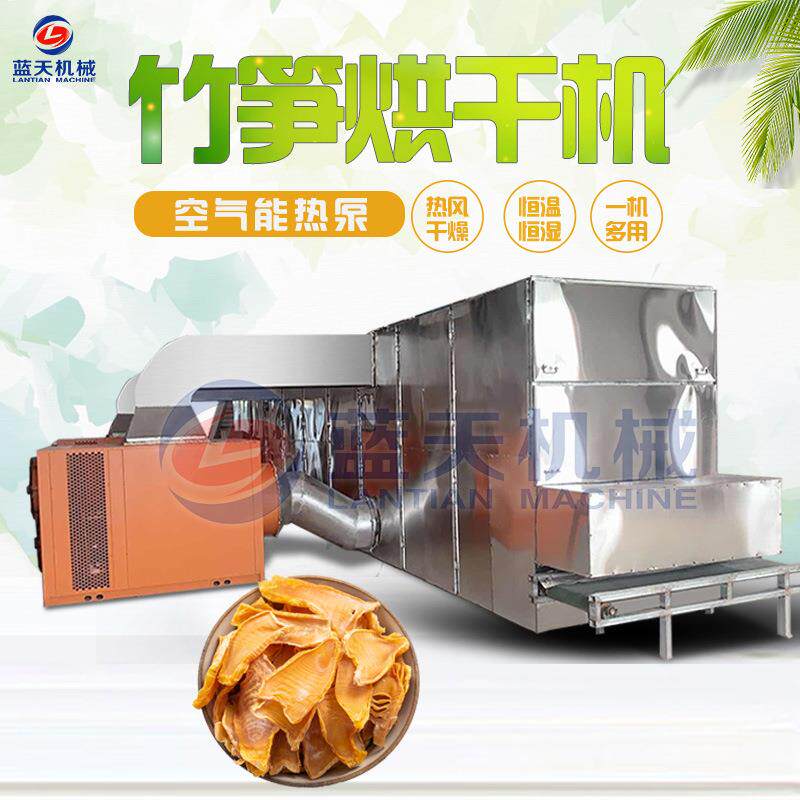 大型竹笋烘干机网带式笋子竹笋干烘干箱烧煤全自动春笋烘干设备
