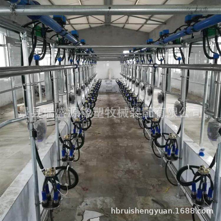 奶牛挤奶设备 电子计量自动脱杯挤奶机 挤奶机厂家安装