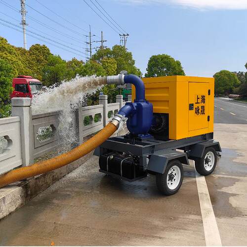 6寸8寸10寸12寸柴油机水泵 ZW不锈钢材质柴油自吸污水泵
