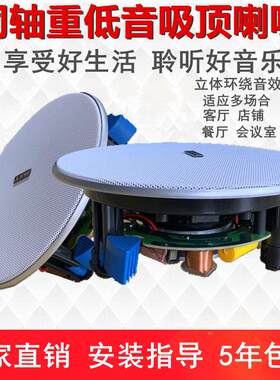 重低音家用定阻分频吸顶喇叭音箱背景音乐嵌入式店铺同轴悬吊式天