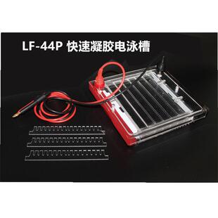 44P快速凝胶电泳槽 CZ05A高通量垂直电泳槽SSR电泳槽LF