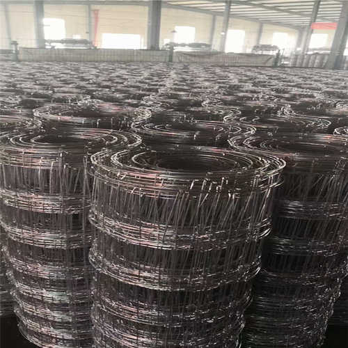 养殖网牛栏网圈地钢丝网镀锌防护网草原牧场牛羊网草原网