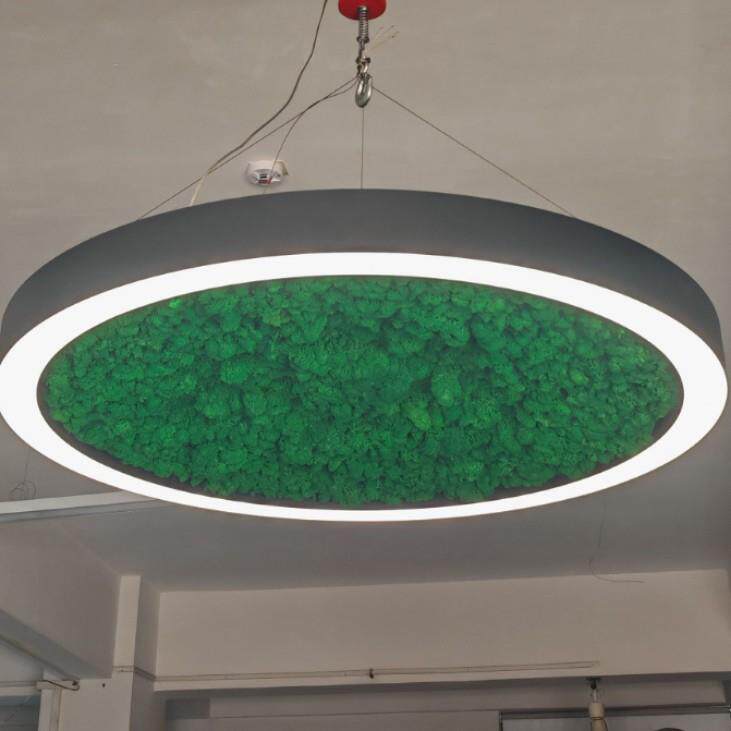 led空心圆环形吊灯休闲区吧台办公室幼儿园走廊创意圆形绿植吊灯