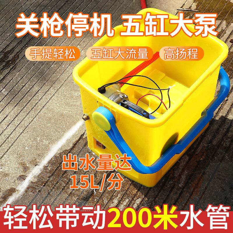 大功率电动喷雾器抽水泵锂电池手提可携式充电智能高压浇菜洗车