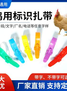 鸡脚环捆绑带鸡脚扎带家禽缠绕易拉扎带鸡鸭鹅鸽子鹌鹑拉链式脚环