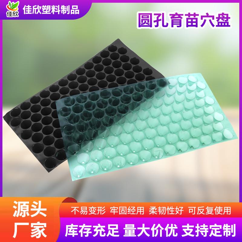 pvc圆孔育苗盘穴盘育苗盆蔬菜种植塑料秧盘水稻育苗盘抛秧盘