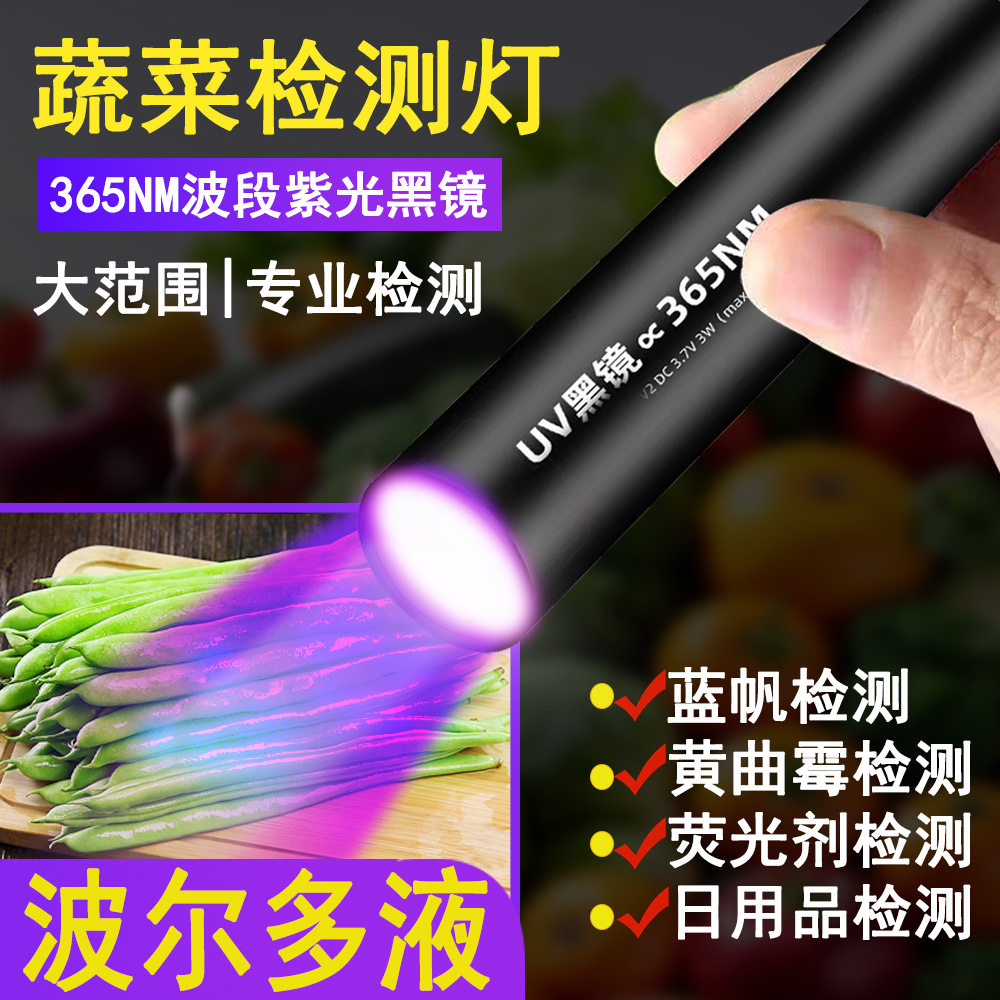 65UV蔬菜农残鉴别手电验钞防伪美甲玉石伍德氏猫藓灯手电筒