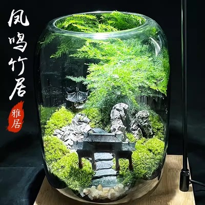 创意苔藓微景观生态瓶小摆件办公室桌面森林造景植物玻璃瓶养鱼缸