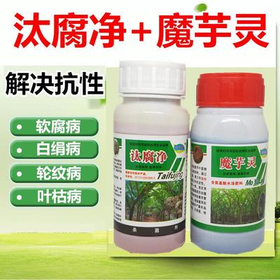 芋头专用药膨大剂叶面肥料防病增产套餐魔芋防腐烂药魔芋灵汰腐净