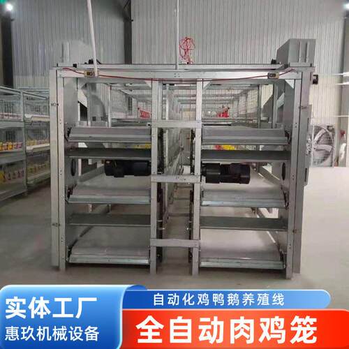 肉鸡笼三层立式鸡舍养殖厂自动清粪养鸡笼热镀锌鸡笼厂家鸡用