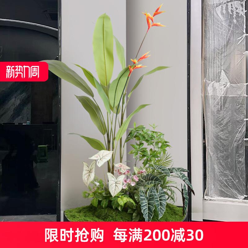 真盆景造景摆件植物室内角落绿植摆件遮挡装饰仿生态园景软装