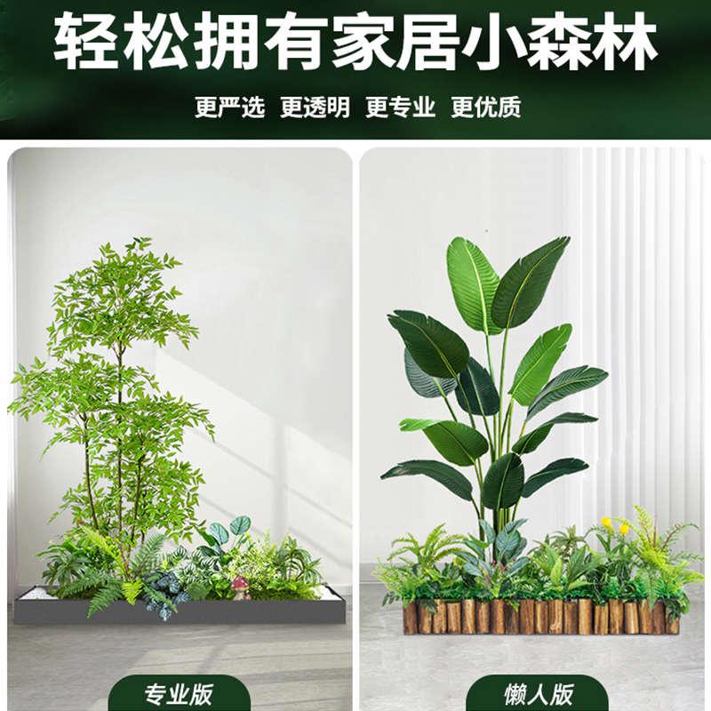 仿真绿植造景组合橱窗装饰假植物景观造景庭院布置玄关室内氛围树