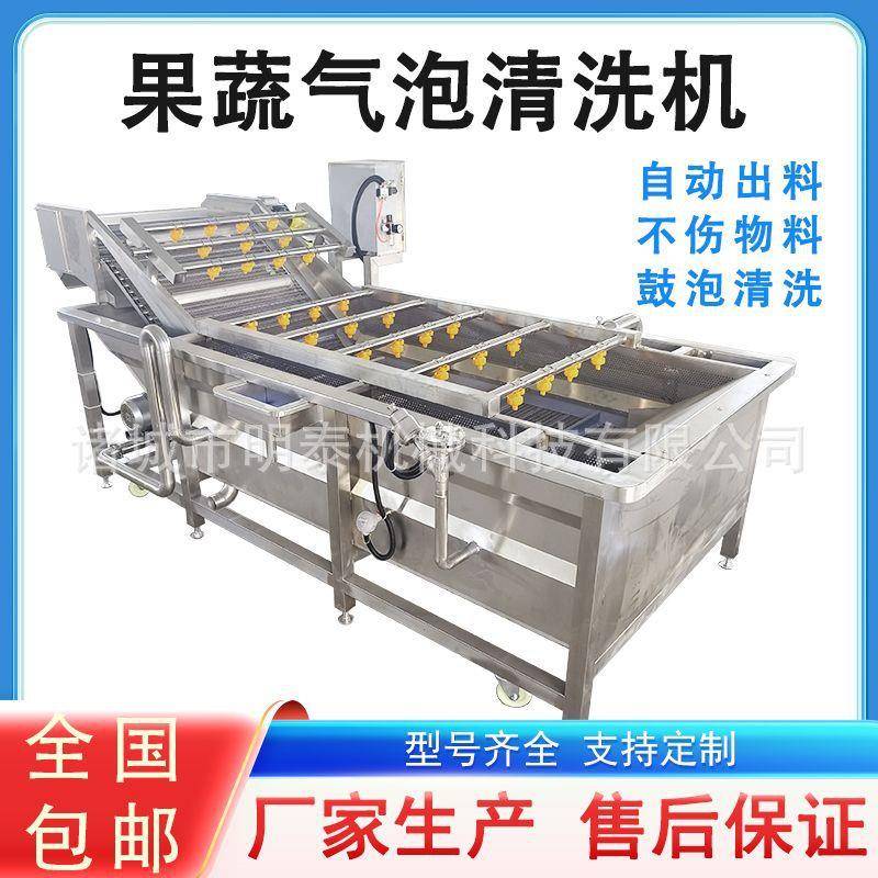 李子洗果机西梅清洗沥水机草莓冻干前期清洗设备菠菜洗菜机