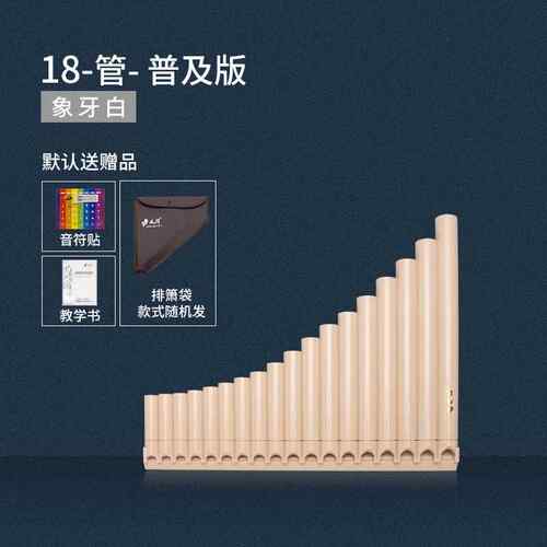 正品风律排16管18管排箫孔门教学专用初学者入C调儿童易学排笛笛
