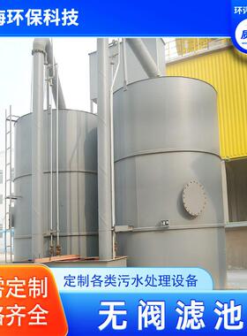 一体化净水设备河水重力式无阀滤池不锈钢大型净水机农村自来水厂