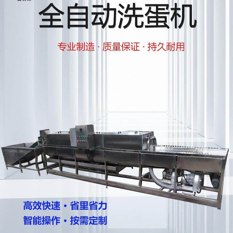 厂家大型全自动单排双排洗蛋机鸭蛋清洗风干设备不锈钢材质