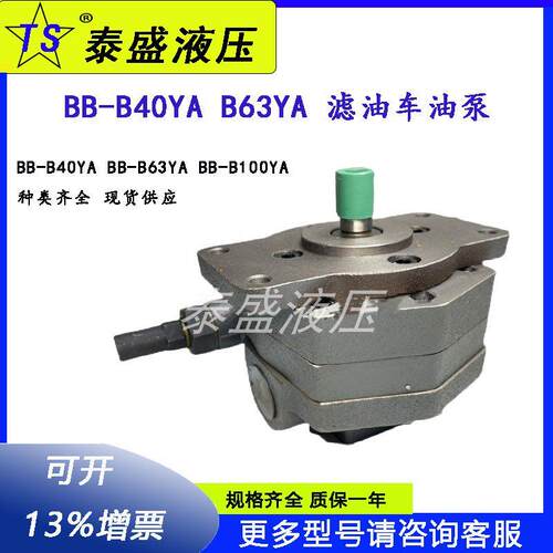 BB-B40YA/B63YA摆线齿轮油泵BB-B16YB/BB-B125YA滤油车BB-B50Y2泵
