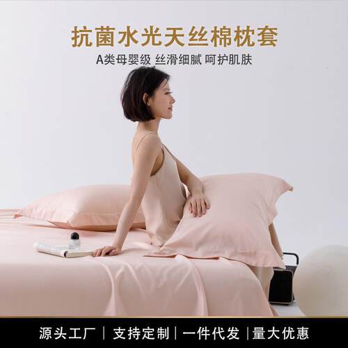 A类天丝棉纯色枕套单品单件夏季凉感冰丝枕头套枕袋48*74cm一对装