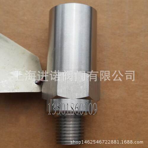 不锈钢低温安全阀DA21F-25P40PDN8101520251/43/8