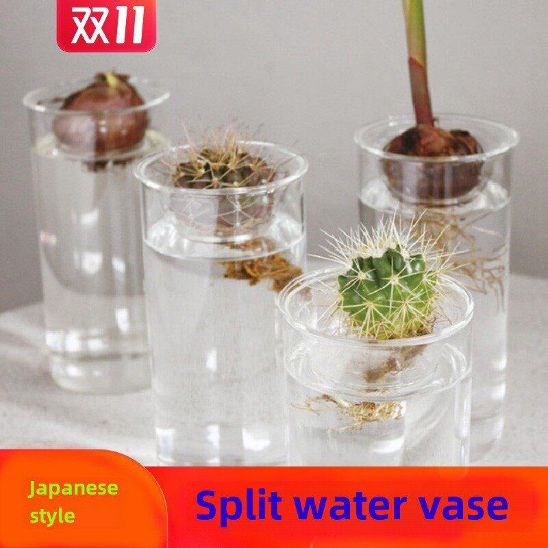日式多肉植物水养玻璃花瓶绿萝水培绿植风信子插花器家居装饰摆件