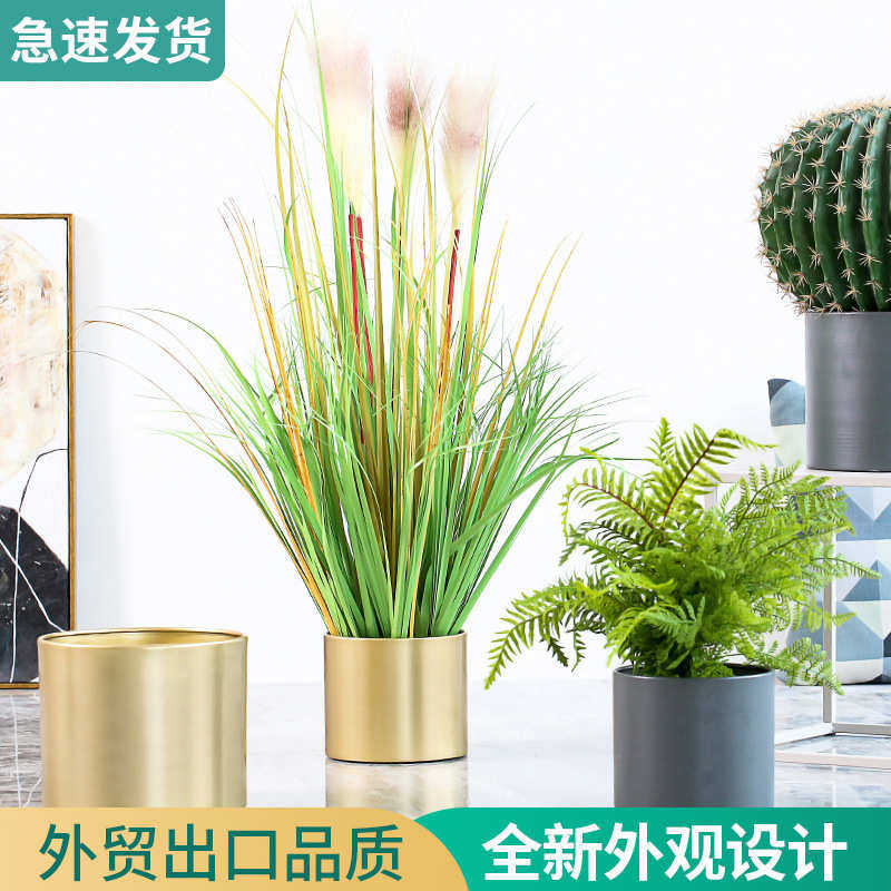 地大风器装器皿植物落桌面艺金色铁圆形花盆花盆花