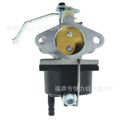 化油器For Tecumseh 640353 640285 640289 640328 OH318 发动机