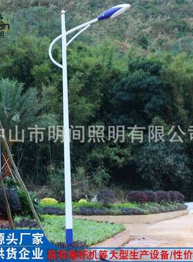 工厂直销热镀锌30瓦LED路灯城市主干道照明配火炬灯具6米道路灯