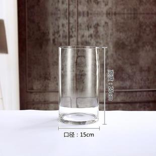 龙柳专用花瓶摆件客厅插花玻璃透明南天竹花瓶水培绿植水养高级感