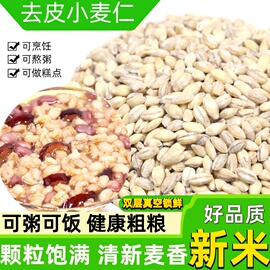 麦仁小麦去皮小麦仁500g小麦粒农家自产脱皮麦仁米杂粮粥用新小麦